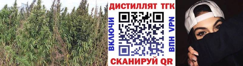 наркота  Лыткарино  блэк спрут как войти  площадка какой сайт  Дистиллят ТГК Wax 